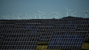 Croissance historique des &eacute;nergies renouvelables, mais encore un effort!, plaide l'AIE