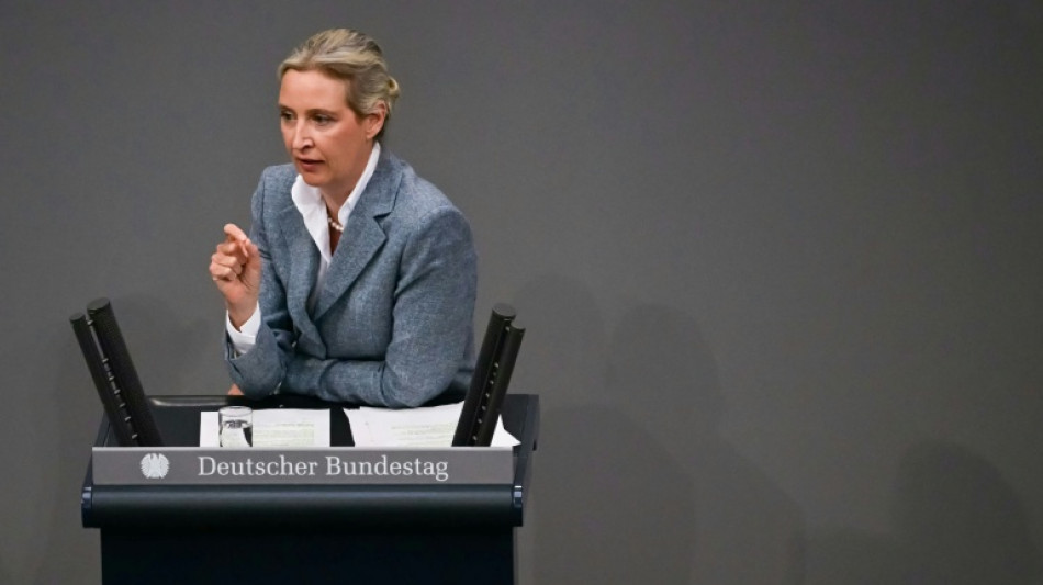 Weidel: AfD-Bundestagsfraktion wird weiterhin ihre Rechte einfordern