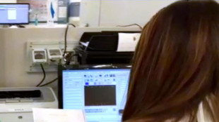 Albero genealogico animato mostra gli spostamenti degli antenati