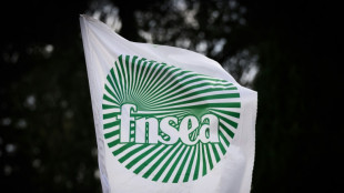 Agriculture: quelques actions pour d&eacute;noncer des importations "aberrantes"