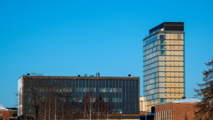 En Escandinavia, los edificios de madera son cada vez m&aacute;s altos