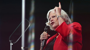 Get&ouml;tete Ex-Ministerin Widdecombe: Brite unter Terrorverdacht festgenommen