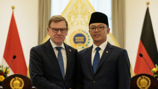 Wadephul hofft auf Verabschiedung von EU-Freihandelsabkommen mit Indonesien im September