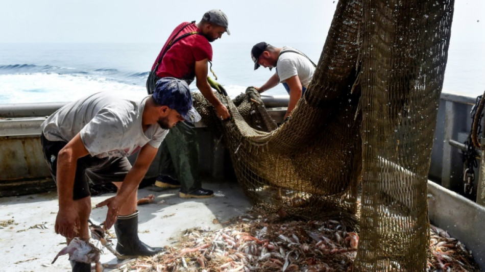 P&ecirc;che: des populations de poissons en panne de renouvellement
