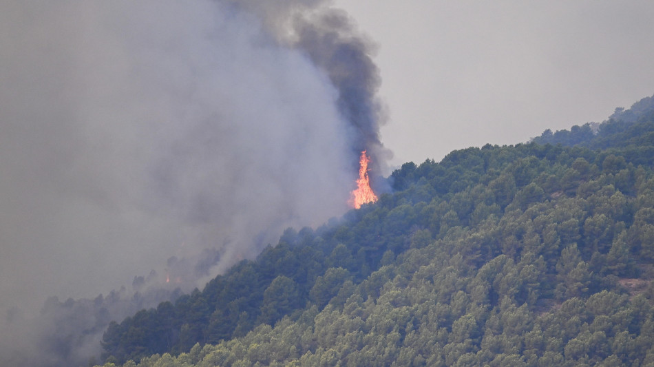 La Spagna vara aiuti straordinari per le aree devastate dai roghi