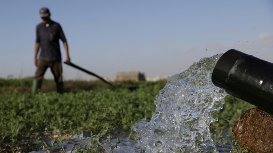 L'eau dessalée au secours de l'agriculture dans le sud du Maroc