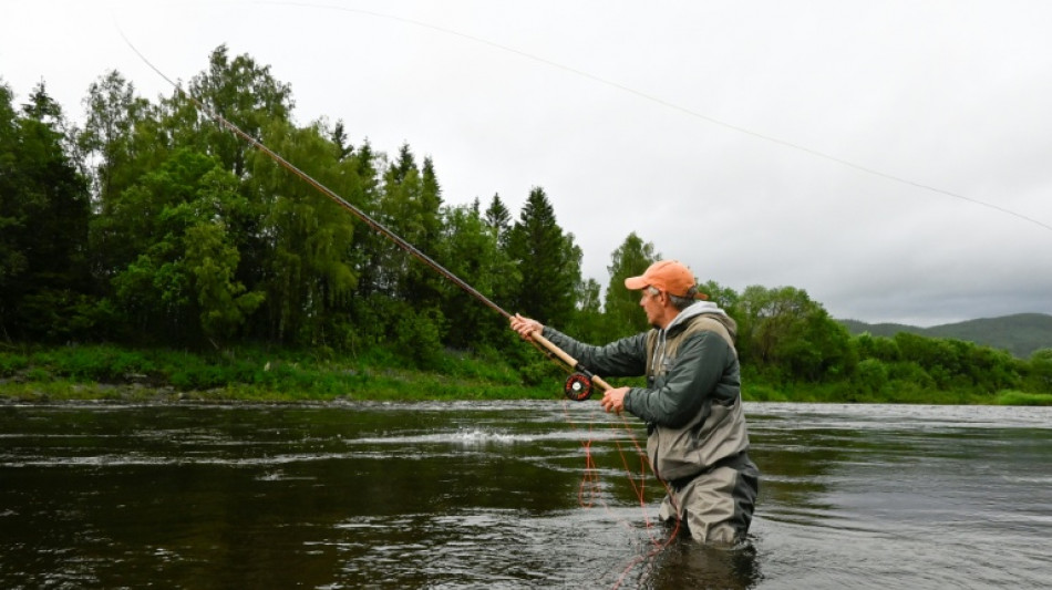 El salm&oacute;n salvaje de Noruega sufre una lenta agon&iacute;a por la acuicultura