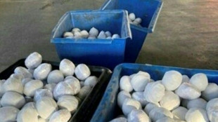 USA: la drogue &eacute;tait aux petits oignons, mais pas assez