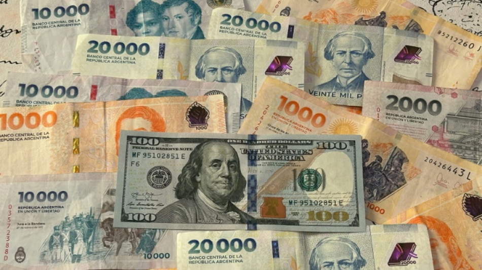 Milei eases tax evasion rules to draw out 'mattress dollars'