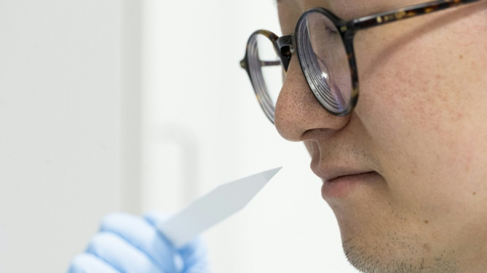 Assouplissant ou shampoing : avec les futurs "nez" qui créent les parfums du quotidien