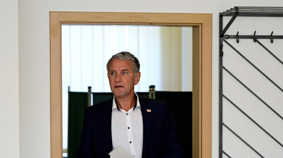 La extrema derecha alemana celebra una victoria "hist&oacute;rica" en elecciones regionales