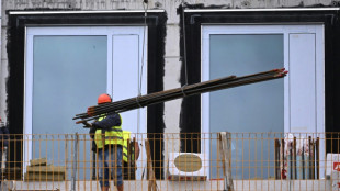 Zahl der Baugenehmigungen geht im Januar um fast ein Viertel zur&uuml;ck 