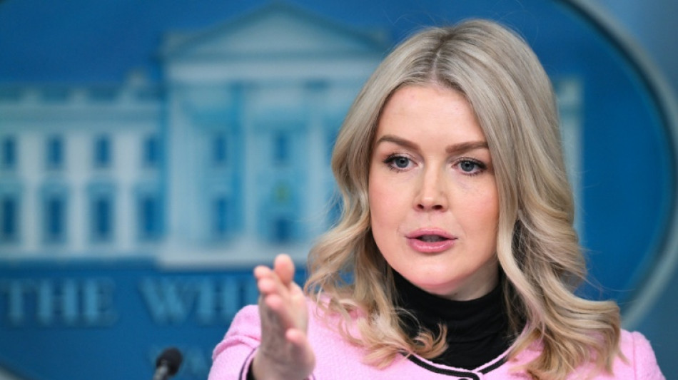 Sprecherin: Trump hat "intensiv" &uuml;ber Kauf Gr&ouml;nlands diskutiert
