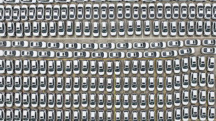 Autoridades chinas intentan frenar la "competencia irracional" en los coches eléctricos