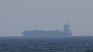 Usa, colpita e fermata una nave cisterna di Palau nel golfo dell'Oman
