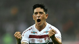 Copa Libertadores: Fluminense erster Finalist