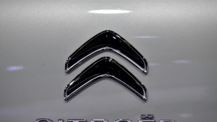 Airbags Takata: Citro&euml;n finit par immobiliser 236.000 voitures dans le nord de la France