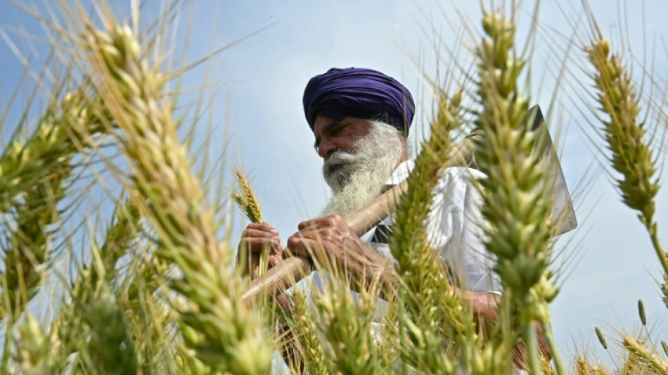 What's at stake for Indian agriculture in Trump's trade deal?