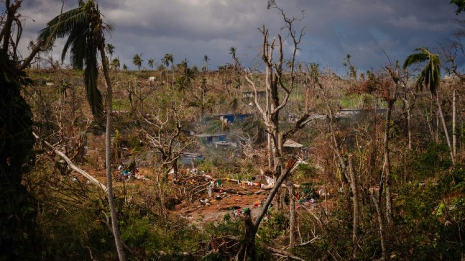 Le cyclone Chido, d&eacute;sastre environnemental &agrave; Mayotte