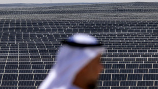 Emiratos &Aacute;rabes inaugura una de las mayores centrales solares del mundo