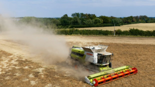 Food security fears mount as UK farmers battle drought