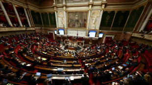 "Partage de la valeur" en entreprise: le texte &agrave; l'Assembl&eacute;e nationale en vue d'une adoption d&eacute;finitive