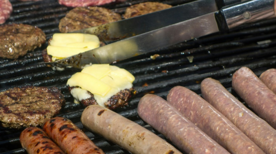 Benzin als Grillanz&uuml;nder: Zwei junge M&auml;nner in Hessen verletzt