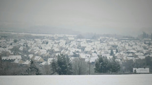 Intemp&eacute;ries : six morts en Europe et transports perturb&eacute;s dans plusieurs pays europ&eacute;ens