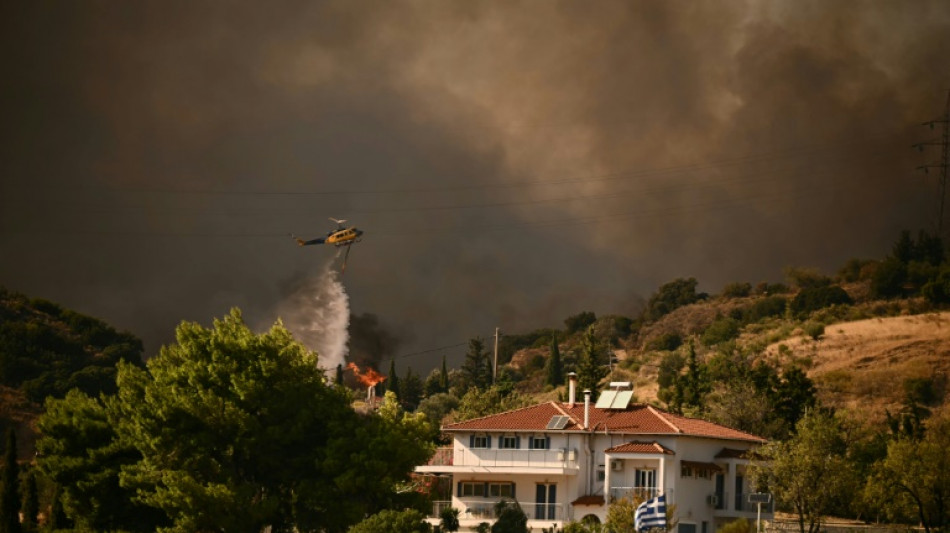 Greek firefighters make progress against wildfires