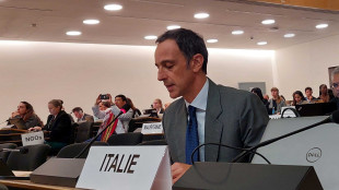 Italia all'Onu, preoccupati per 'crimini atroci' in Myanmar