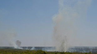"Intentamos evitar el fin del mundo": la justicia brasile&ntilde;a defiende los gastos por los incendios
