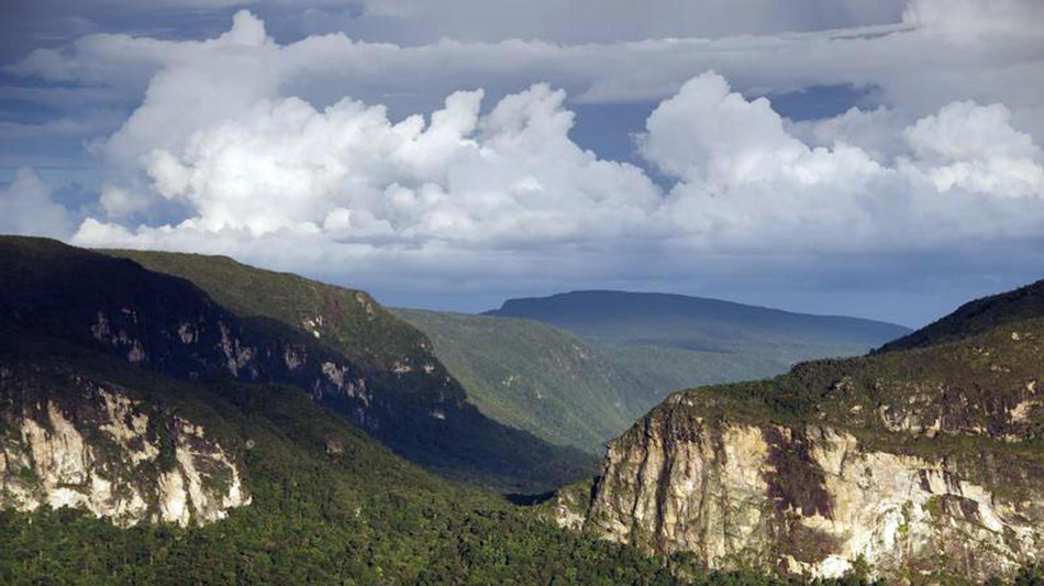 Biomass, così le foreste hanno addestrato il satellite