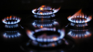 Eurostat, prezzi del gas in aumento, in Italia tra i pi&ugrave; cari