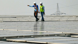 El dilema de India: objetivos clim&aacute;ticos frente a necesidad de crecimiento