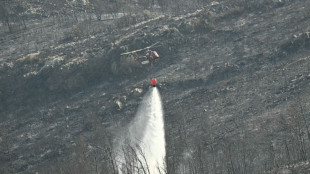 L'incendie de l'Aude "pas ma&icirc;tris&eacute;" avant dimanche soir 