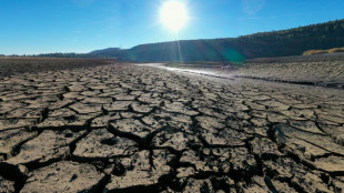 France: 2022, ann&eacute;e la plus chaude et exceptionnellement s&egrave;che