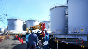 El director del OIEA inspeccionar&aacute; la descontaminaci&oacute;n de suelo en Fukushima