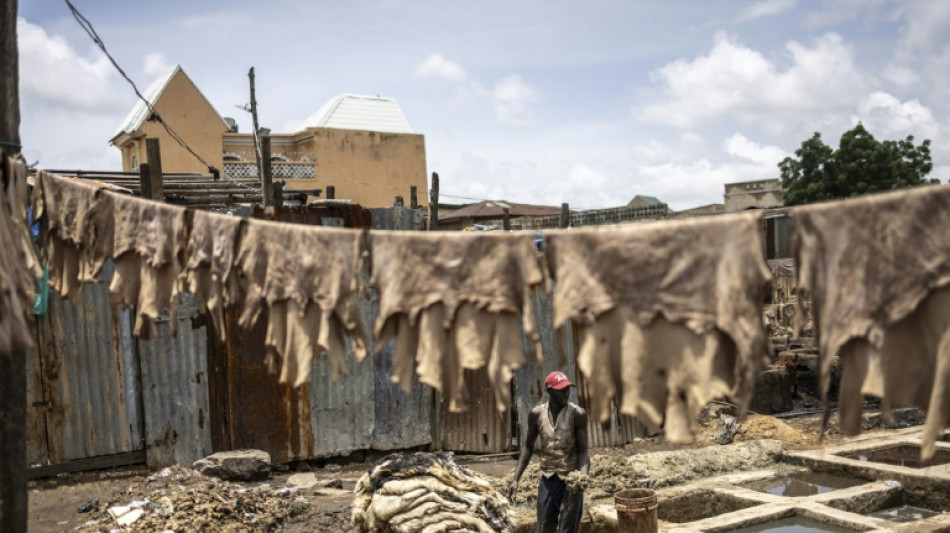 Plébiscité par les grandes maisons de luxe, le cuir "Made in Nigeria" se trace un avenir local