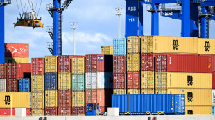 Sace, trend export continua in positivo, tengono prezzi e volumi