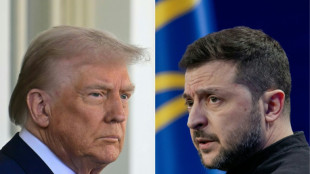 Trump f&uuml;hrt vor Treffen mit Selenskyj "sehr produktives" Telefonat mit Putin