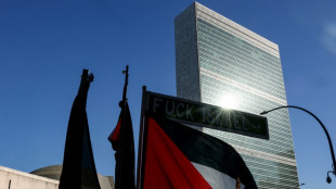 Francia y otros pa&iacute;ses europeos reconocen en la ONU el Estado palestino