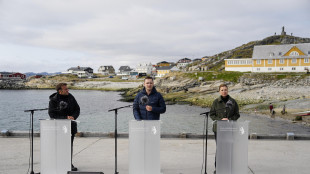 Leader europei, 'la sicurezza nell'Artico va garantita insieme con Nato e Usa'