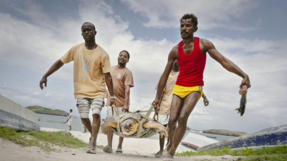 Sur la c&ocirc;te k&eacute;nyane, la petite ONG qui sauve les tortues par milliers