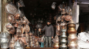 Rame da record, vola a 14.400 dollari con un rialzo del 10%