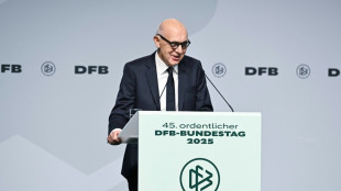 DFB-Bundestag gibt gr&uuml;nes Licht f&uuml;r "Frauen-DFL"