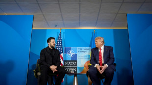 Selenskyj: Mit Trump St&auml;rkung der ukrainischen Luftabwehr vereinbart
