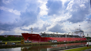 CK Hutchison diz que atraso na venda dos portos do Canal do Panamá não é 'problemático'