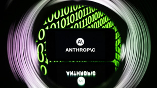 Anthropic loue le superordinateur de Musk pour tenir t&ecirc;te &agrave; OpenAI