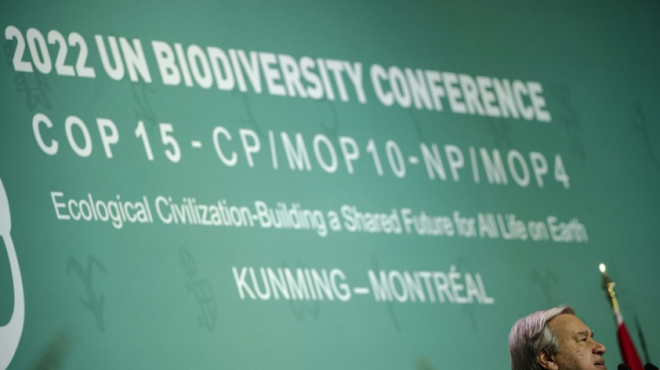 Comienza COP15, la cumbre de la d&eacute;cada para salvar la naturaleza