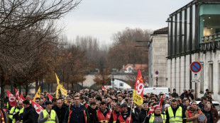 Cognac: plusieurs centaines de salari&eacute;s manifestent pour d&eacute;fendre la fili&egrave;re